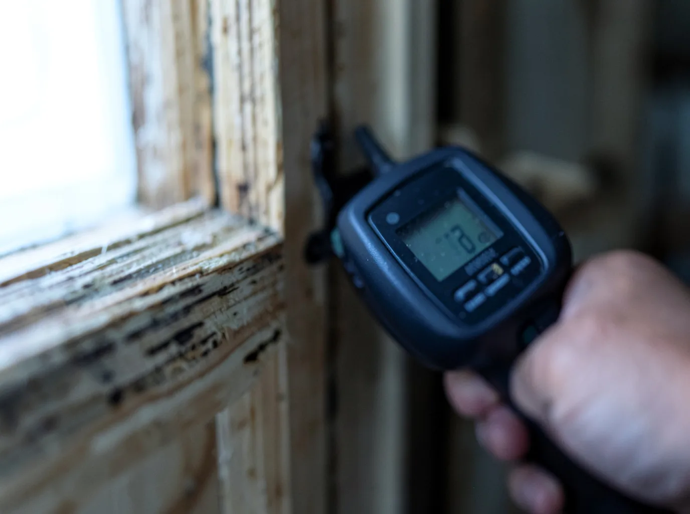 Moisture Inspection And Documentation in Haines City, FL